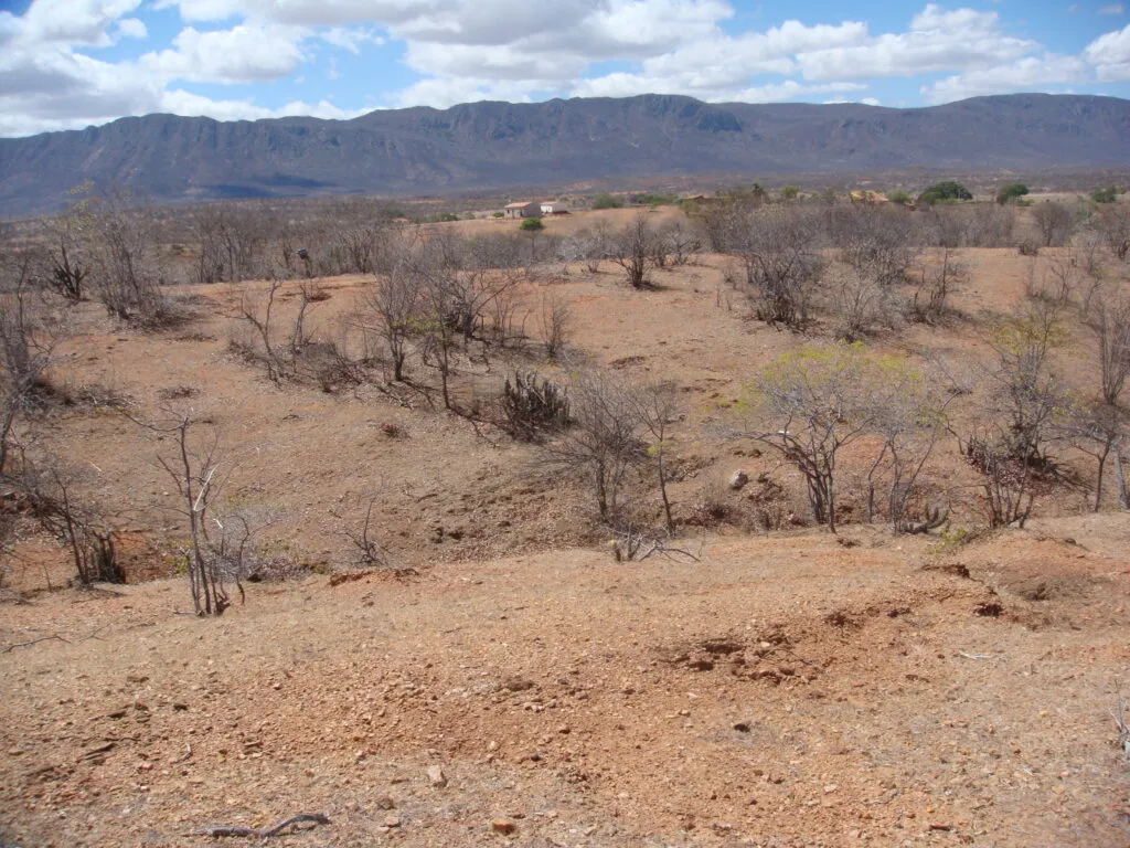 wp header logo 67.png