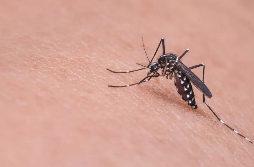  Peru anuncia emergência sanitária por surto de dengue