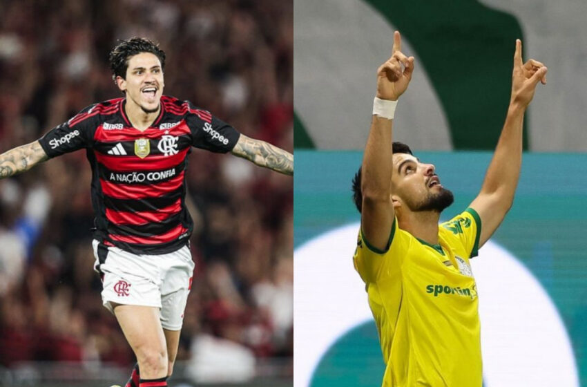  Flamengo e Palmeiras têm 86,9% de chance de título no Brasileirão 2025; veja probabilidades