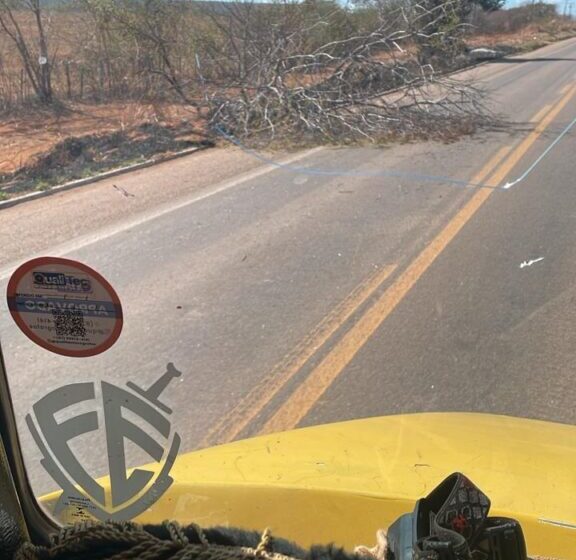  Agricultor morre após ser atingido por árvore que caiu sobre a pista na BR-316 em Araripina