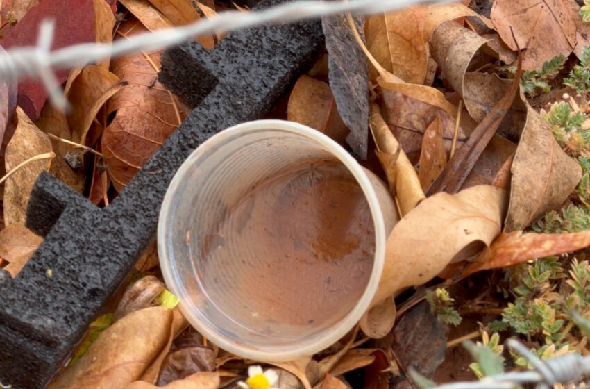 wp header logo 115.png