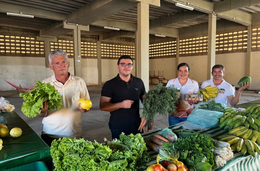 wp header logo 136.png