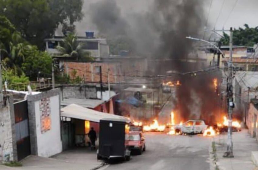 wp header logo 146.png