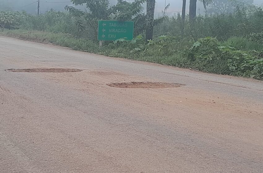 wp header logo 171.png