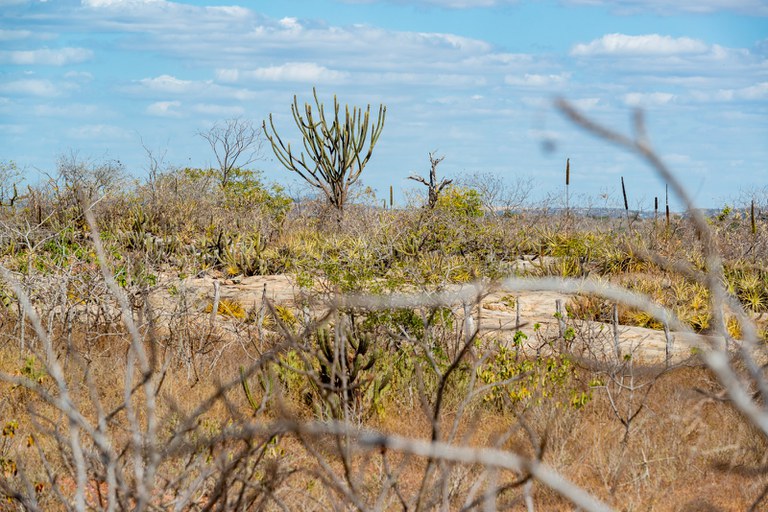 5a07b0da 376a 44c0 be9f ba69b580be63.jpeg