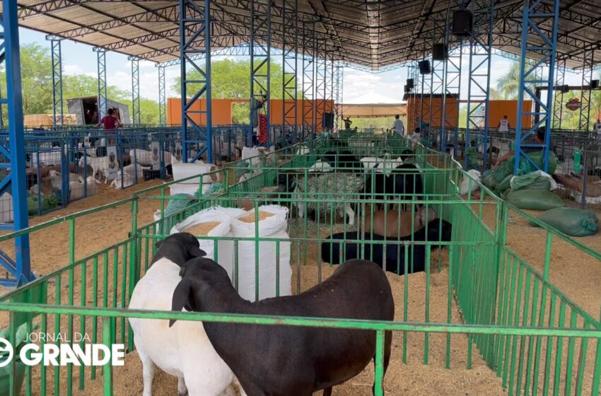 WhatsApp Image 2025 11 14 at 13.30.58 850x560.jpeg