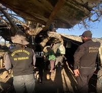 wp header logo 14.png