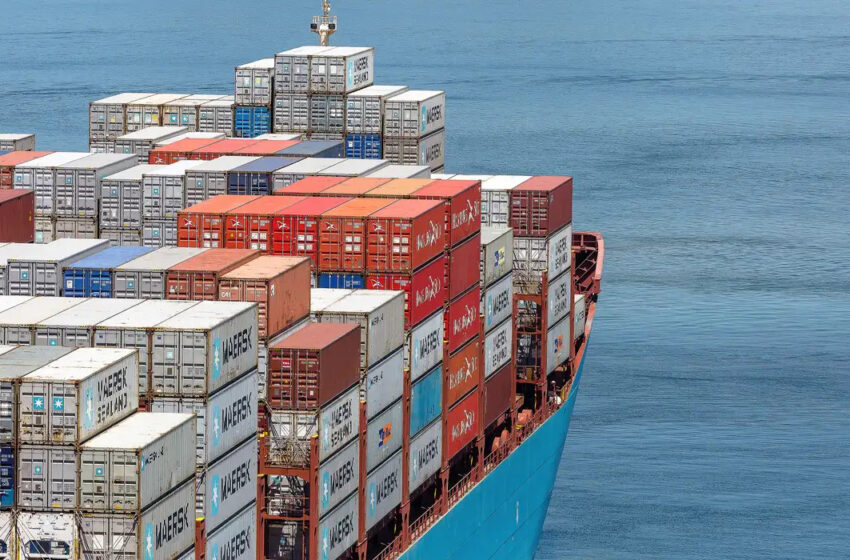 wp header logo 23.png