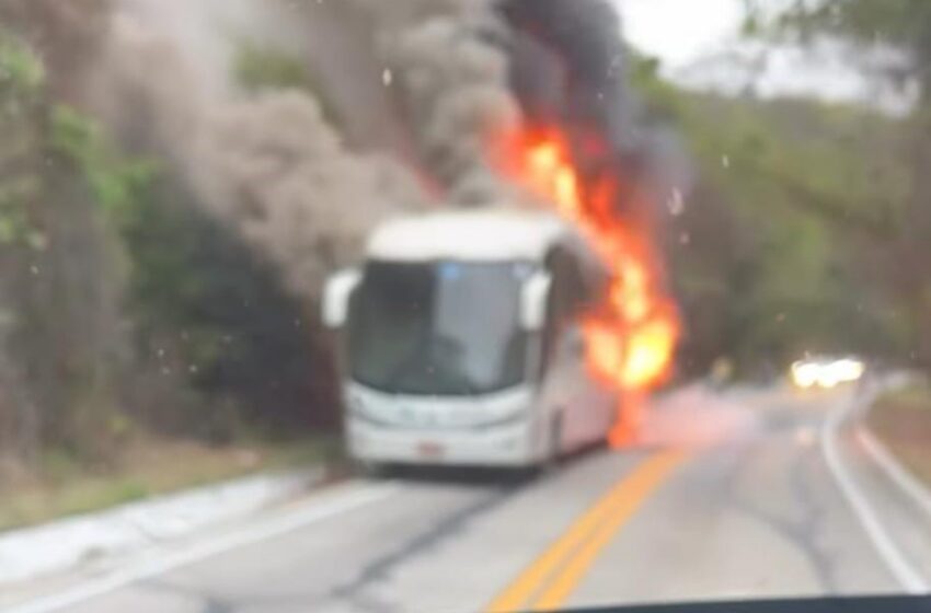 wp header logo 3.png